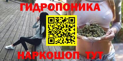 PSILOCYBIN Нягань
